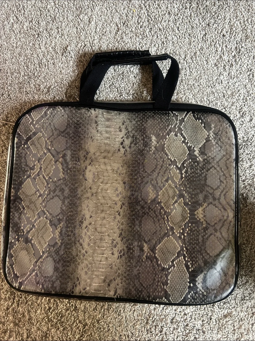 Betsey Johnson betsey johnson