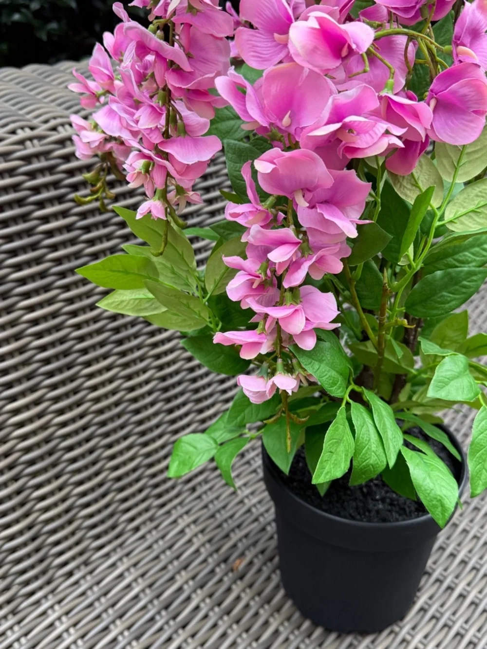 N/A vibrant pink