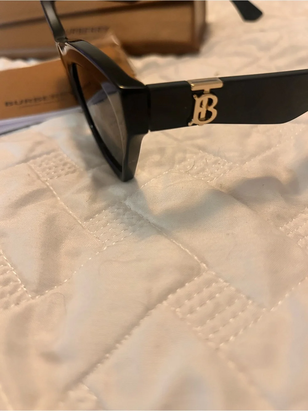 Burberry bold cat
