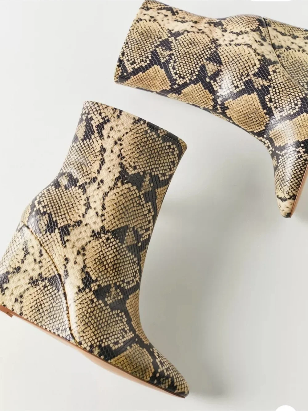 Matisse stylish snake