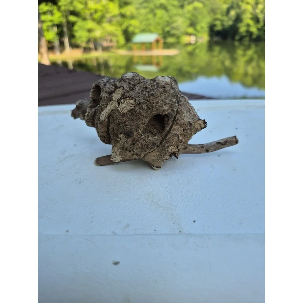 Unbranded this root