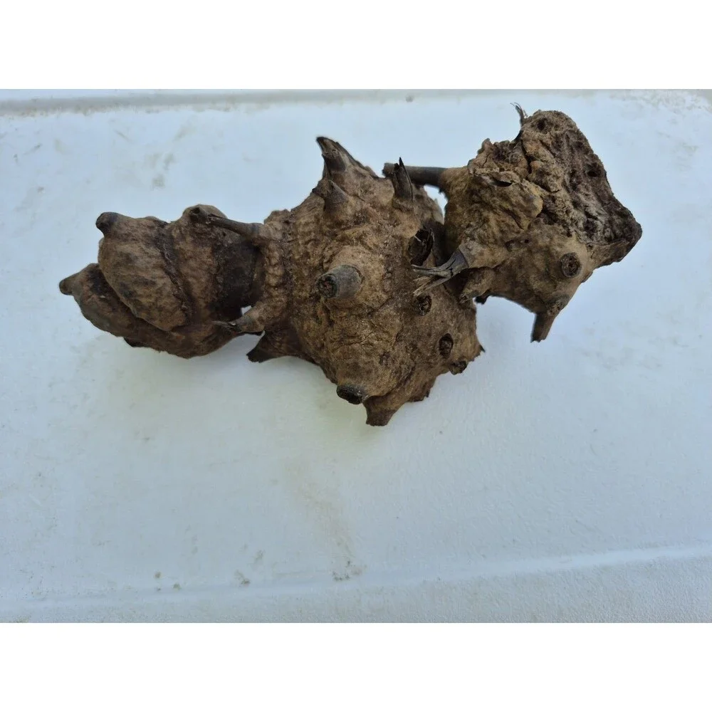 Unbranded this root