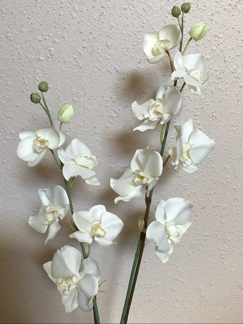 N/A beautiful artificial