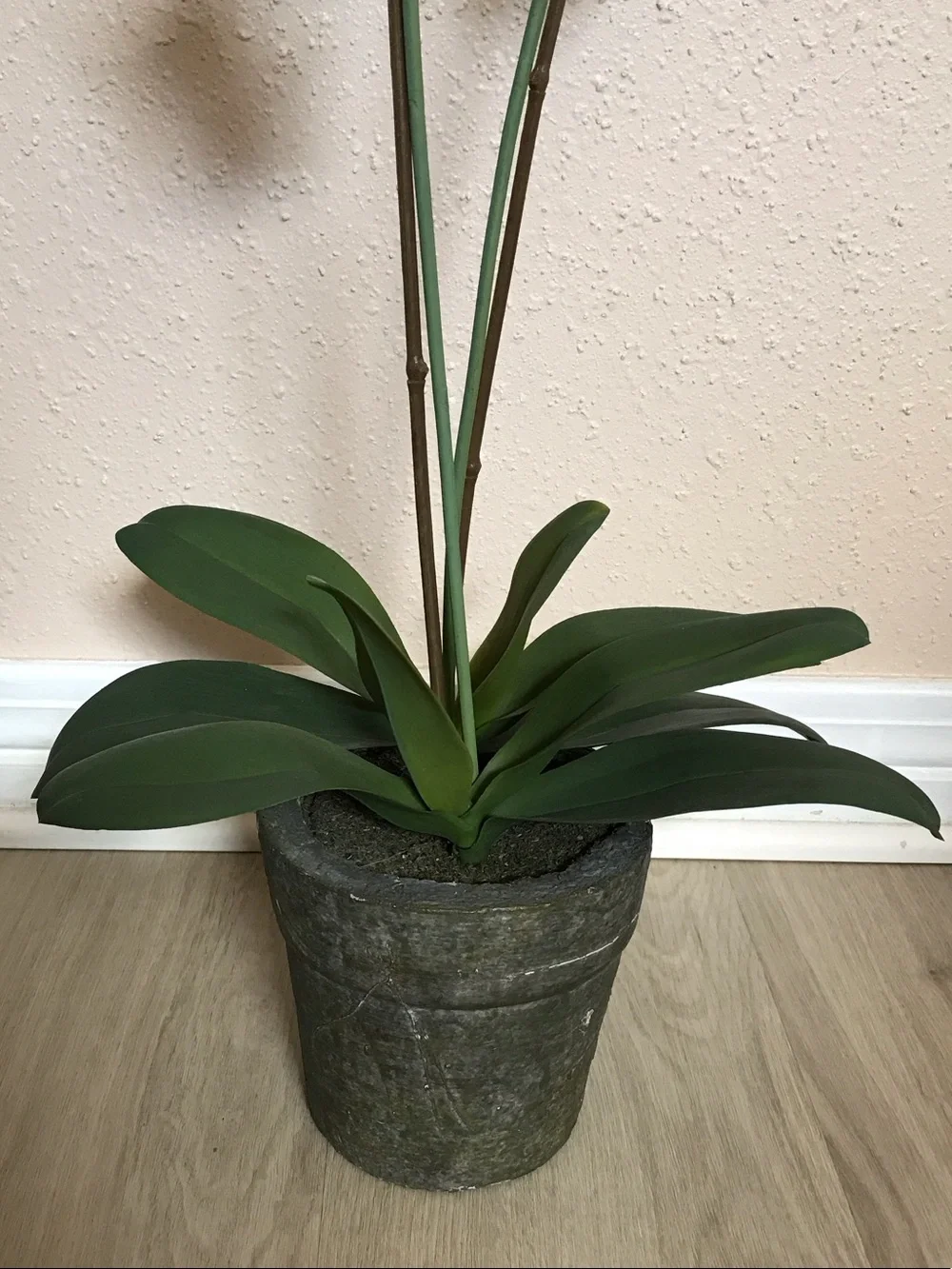 N/A beautiful artificial