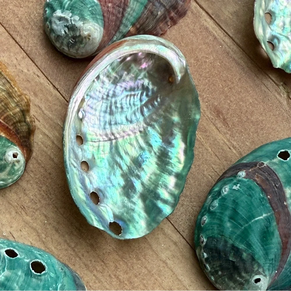 Creating On The Coast 2” mixed