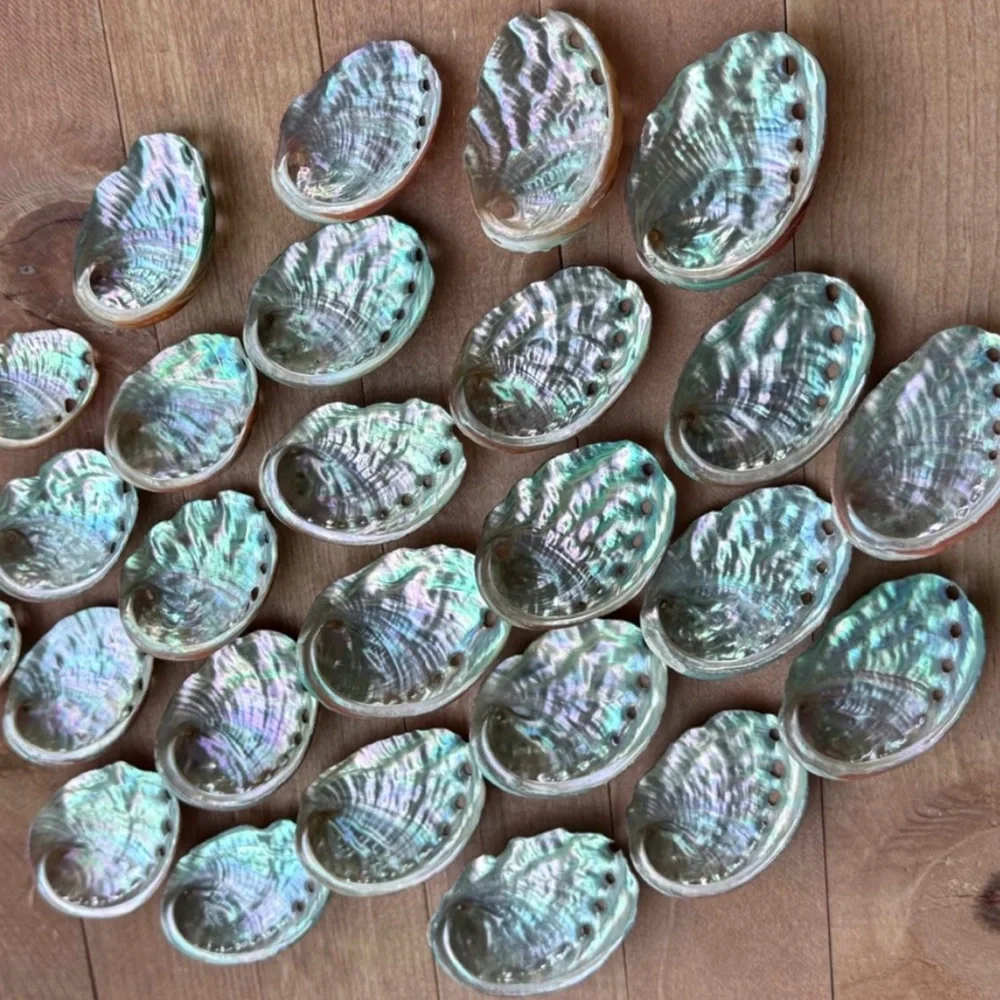 Creating On The Coast thrilled colors
