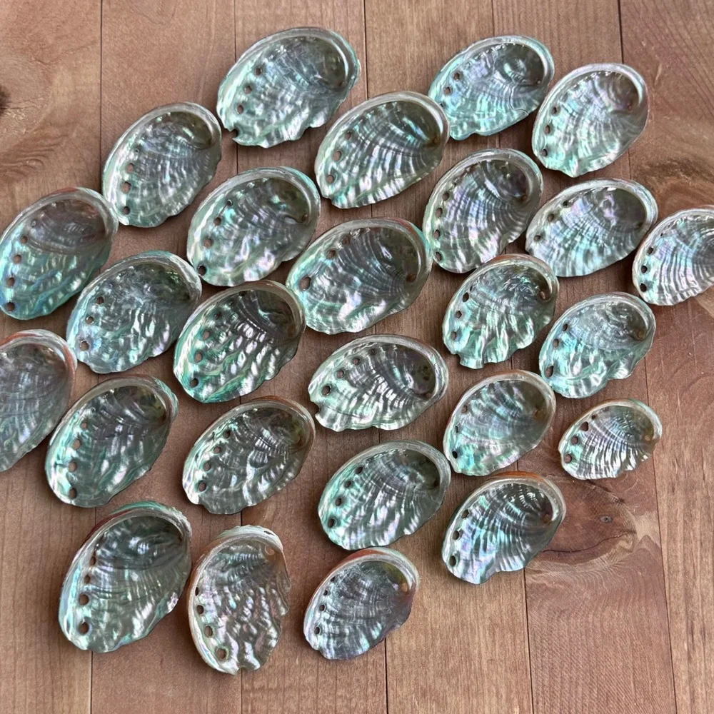 Creating On The Coast ornaments abalone ordering