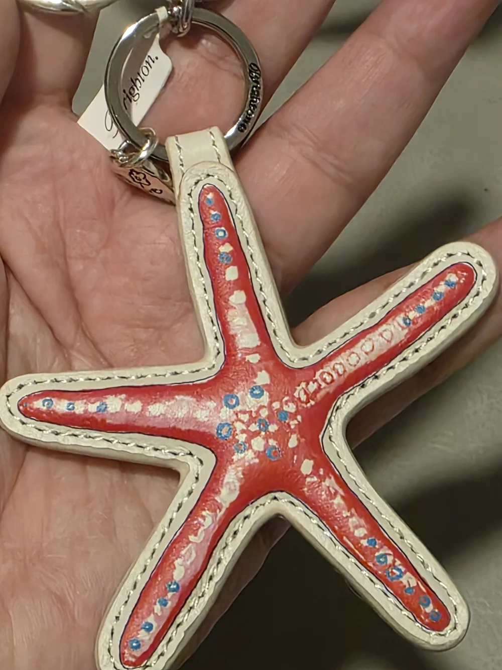 Brighton starfish reversible