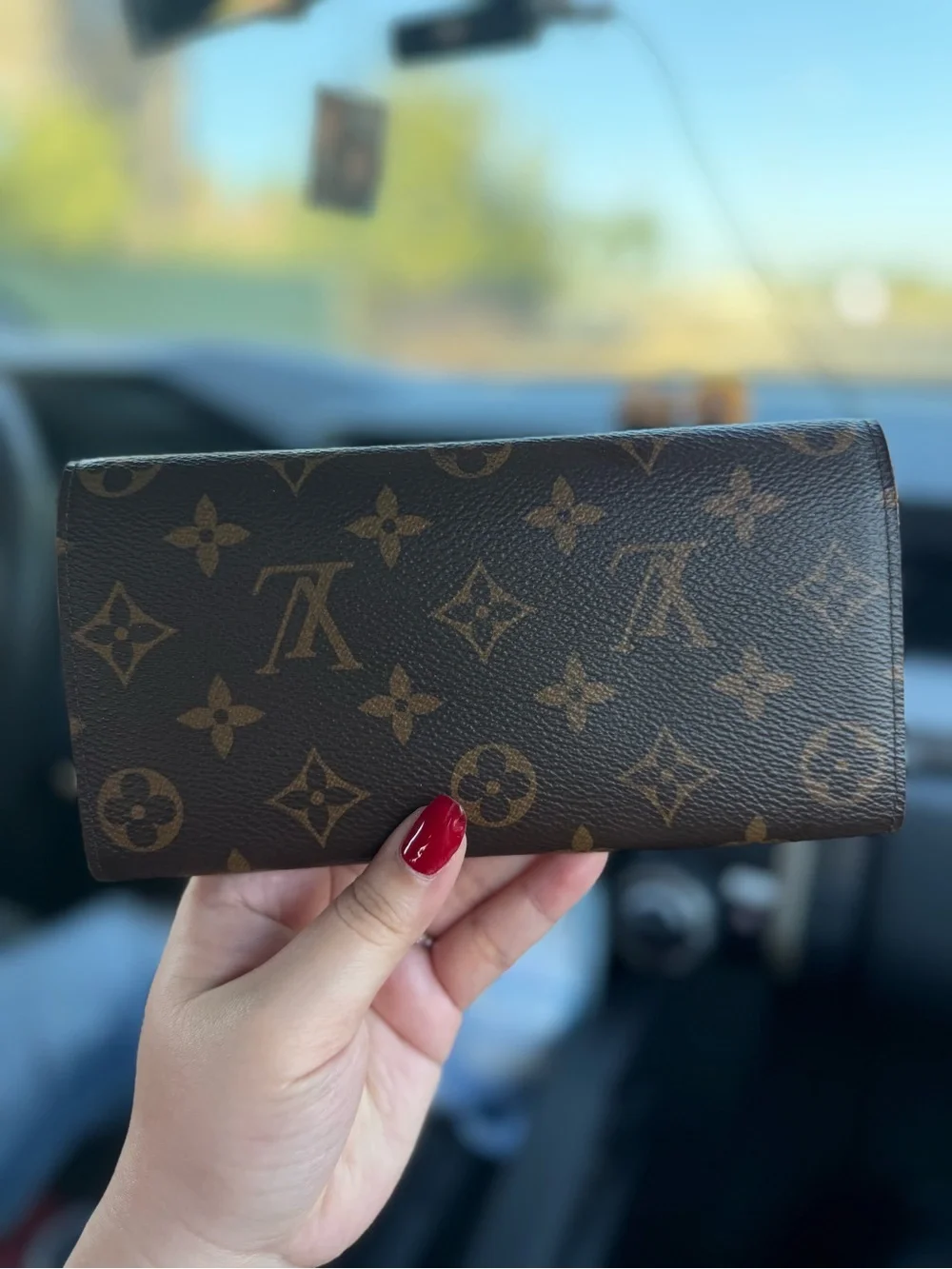 Louis Vuitton signature lv