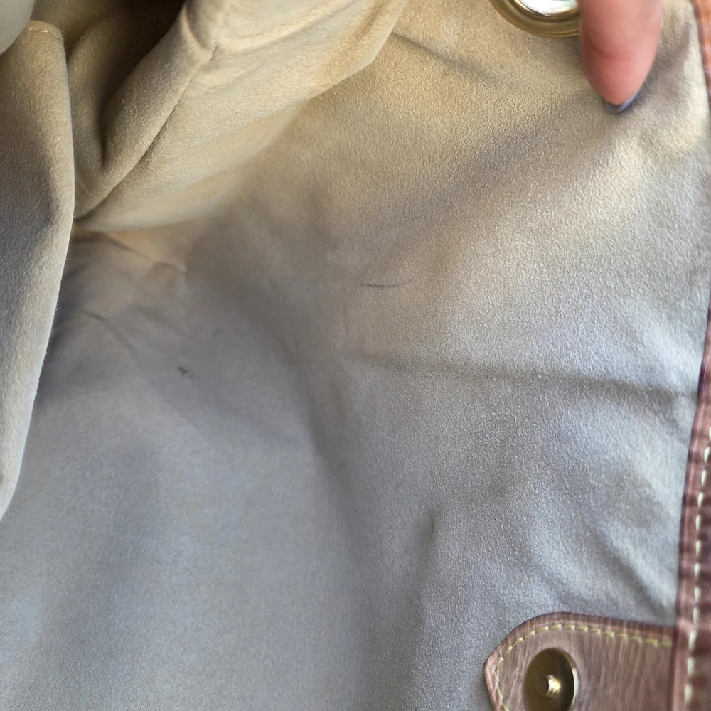 Louis Vuitton classic louis