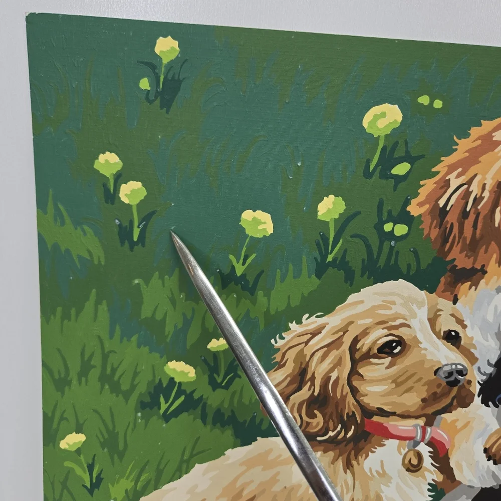 Paint by Number pre owned