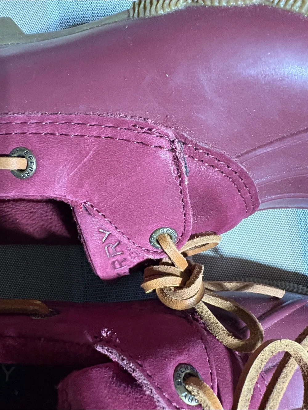 Sperry maroon duck