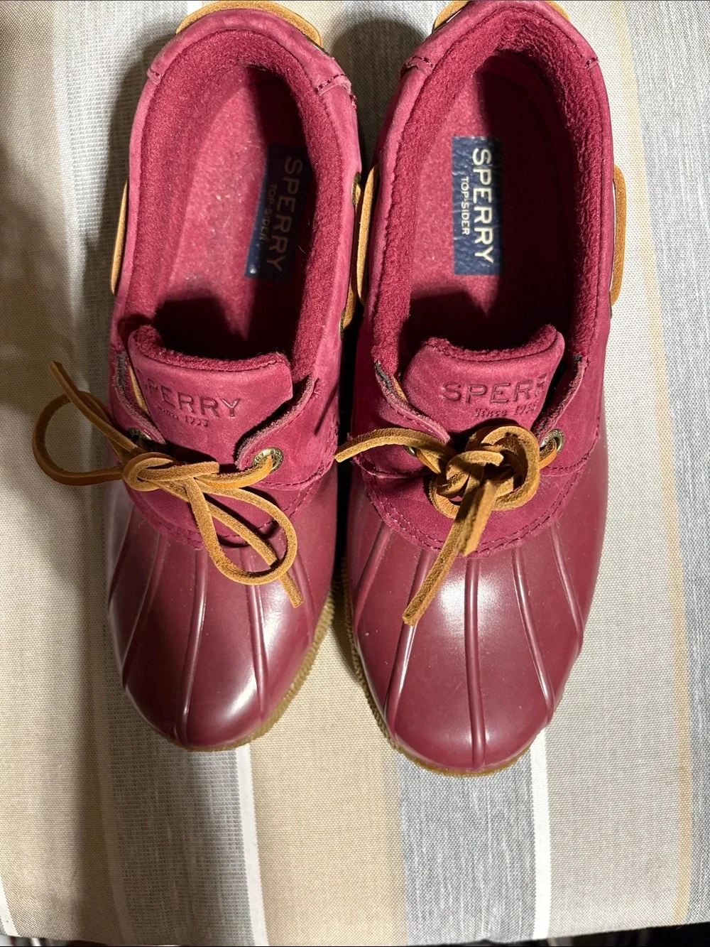 Sperry maroon duck