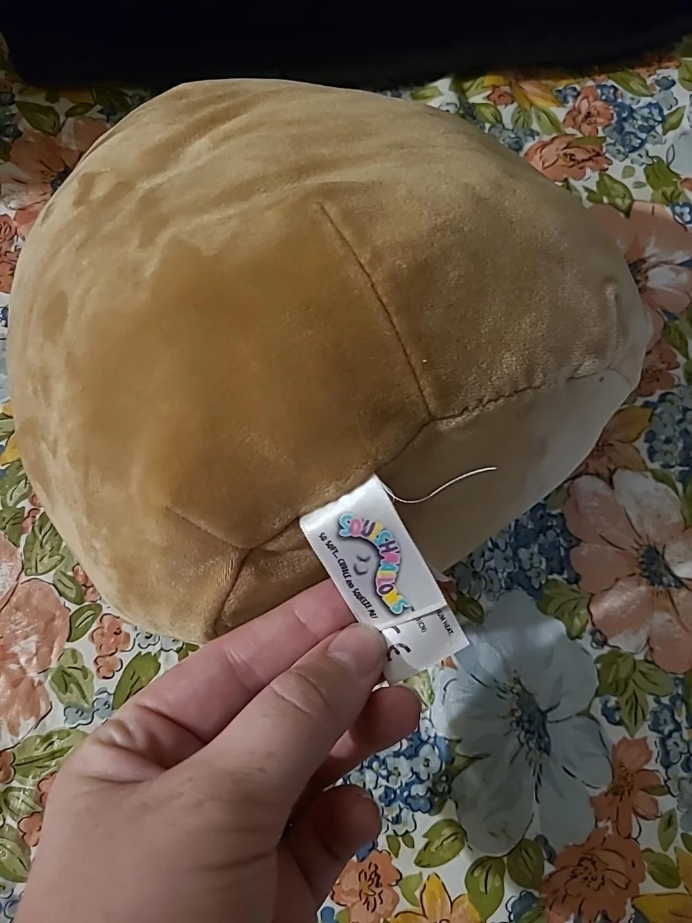 Squishmallows adorable sloth