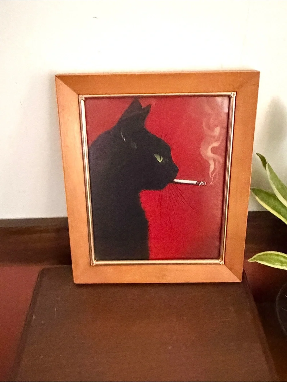 N/A black cat