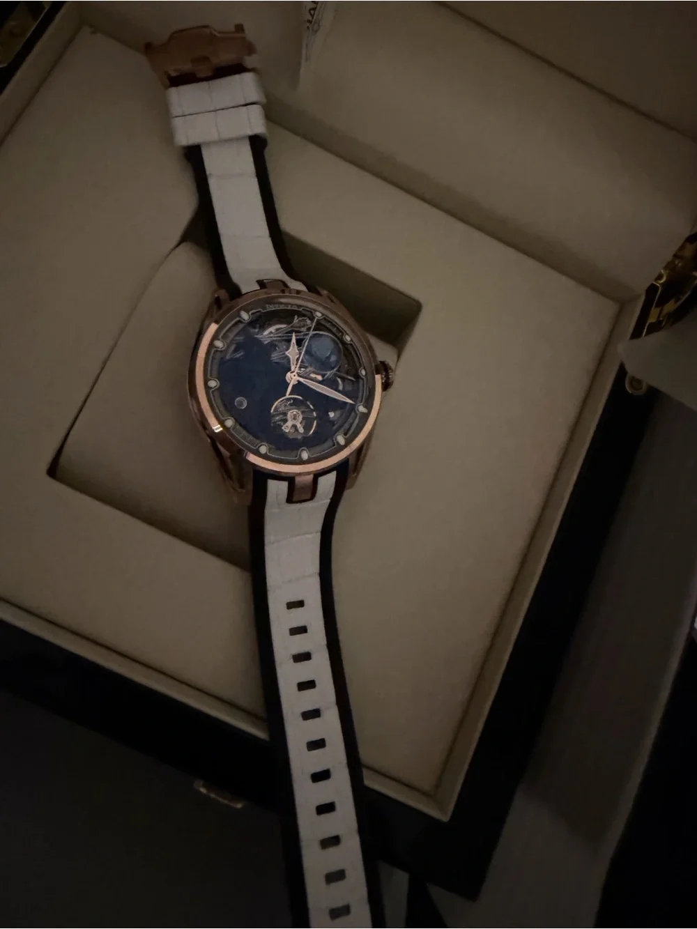 Invicta celestial naosia