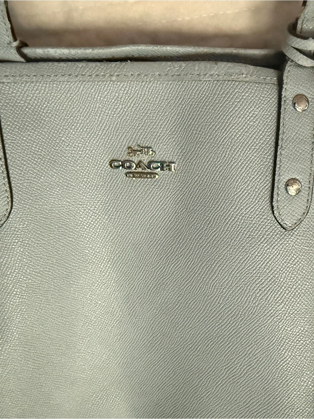 Coach tote pale