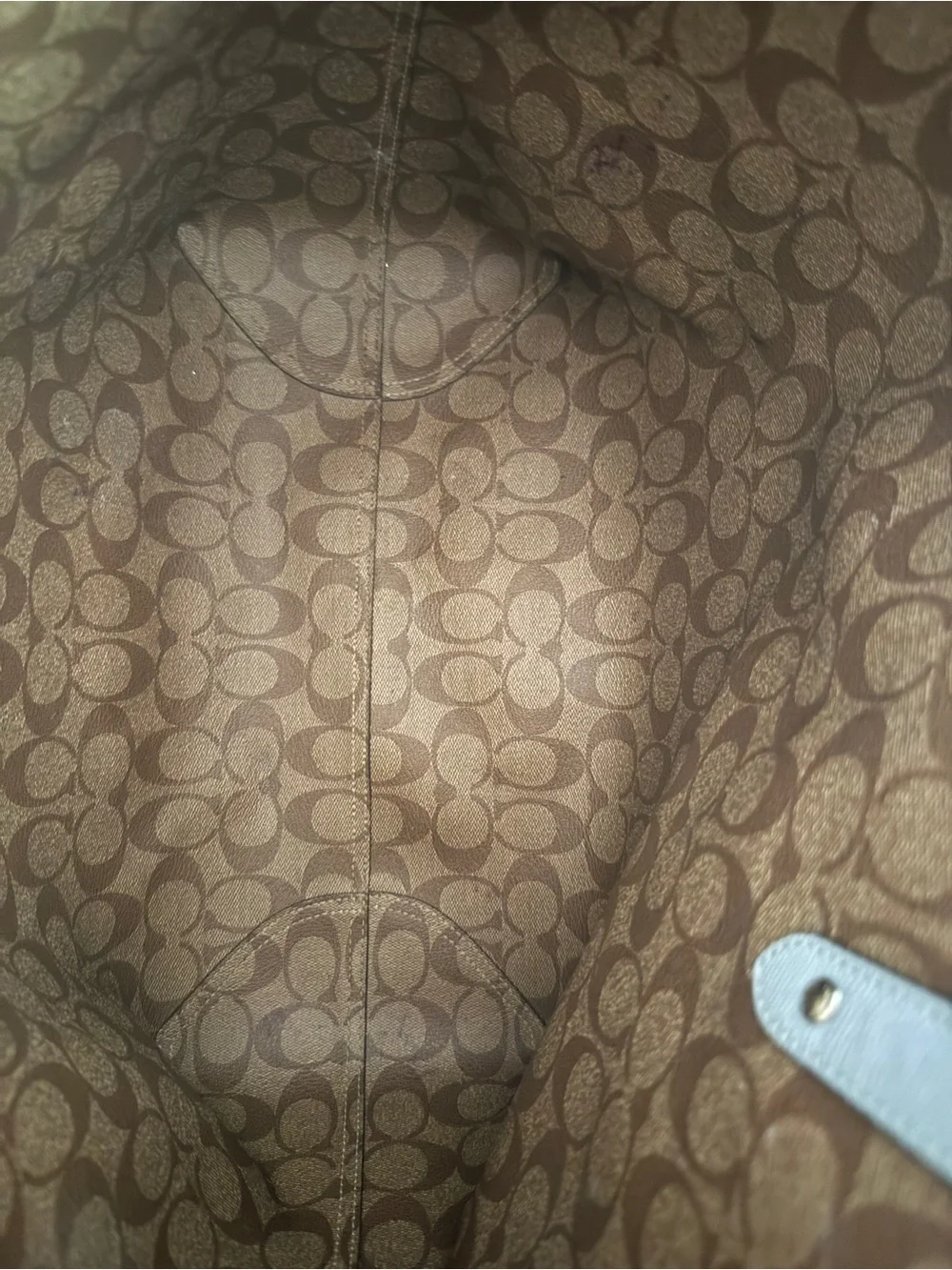 Coach tote pale