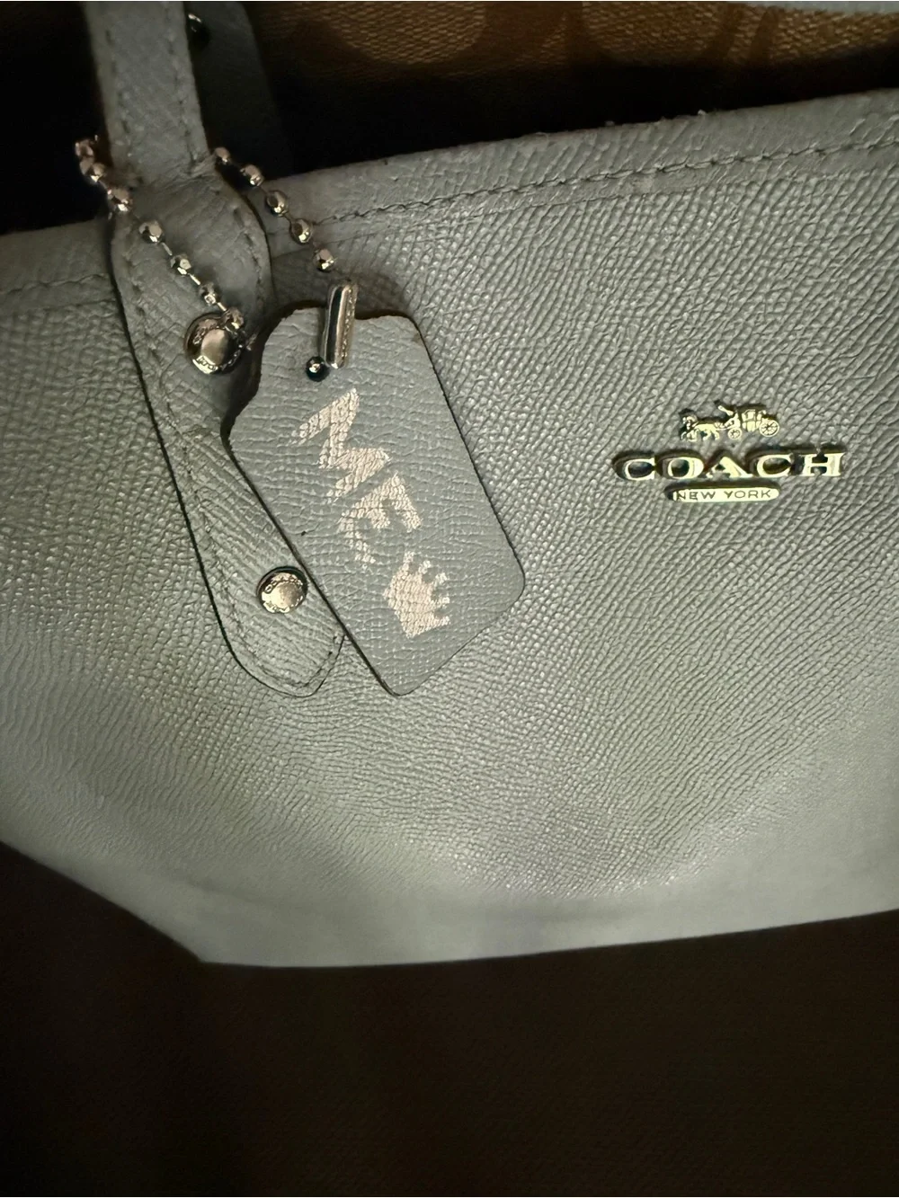 Coach tote pale