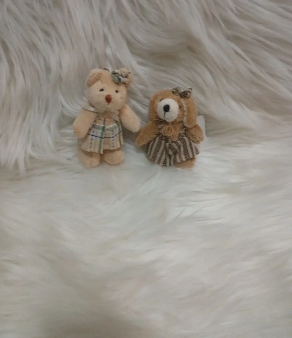 cozy town small bear