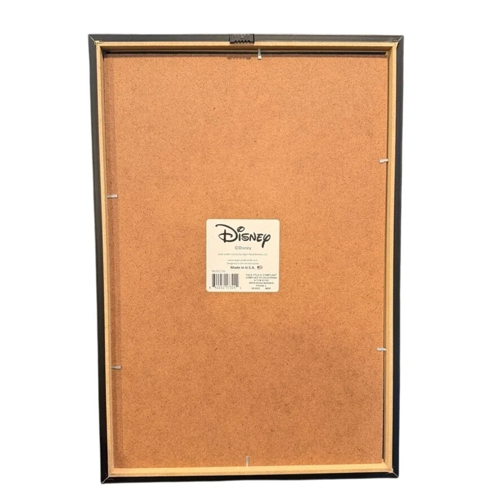 Disney excellent gently