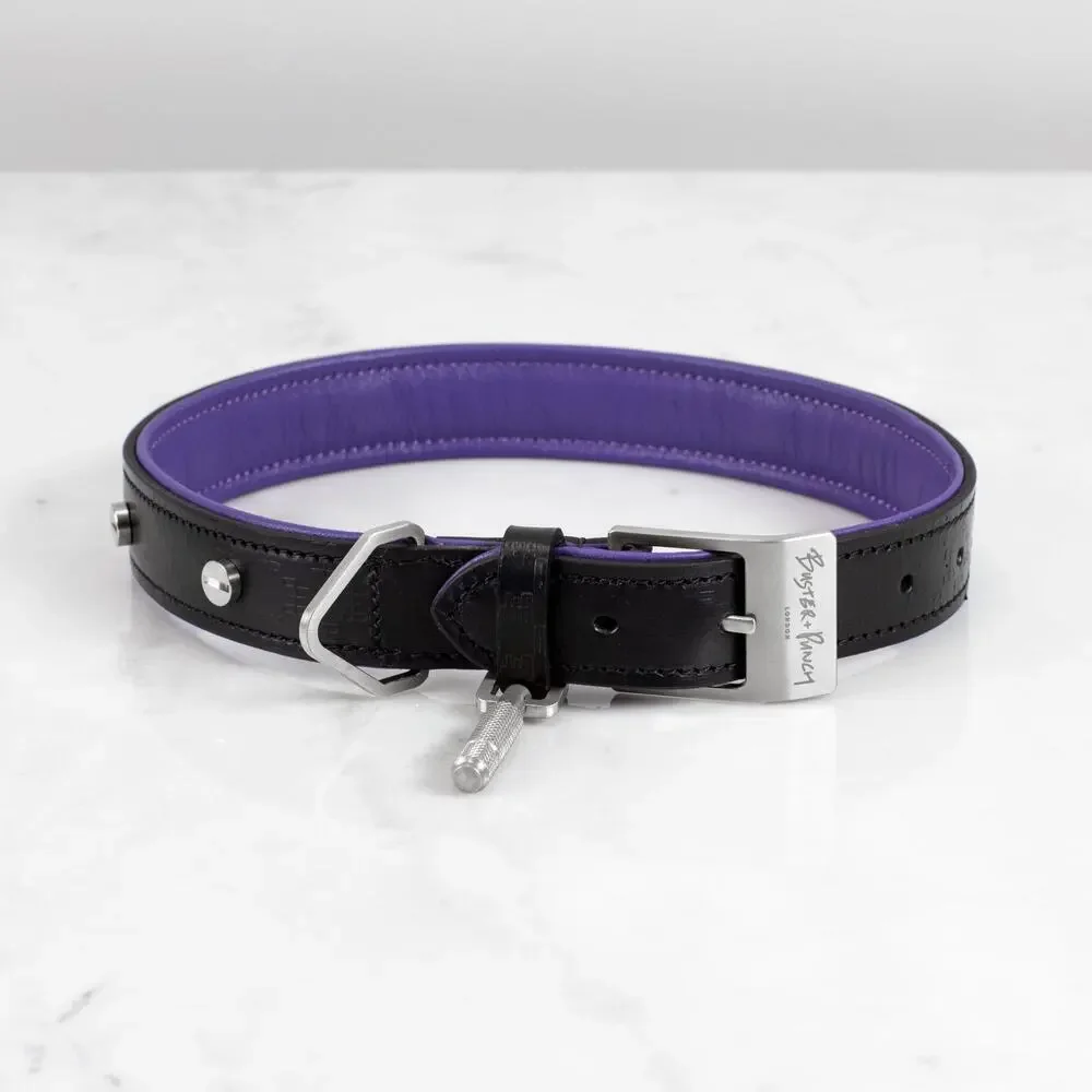 buster + punch dog collar