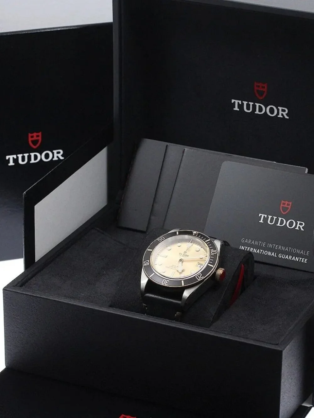 Tudor brand	tudor model	heritage