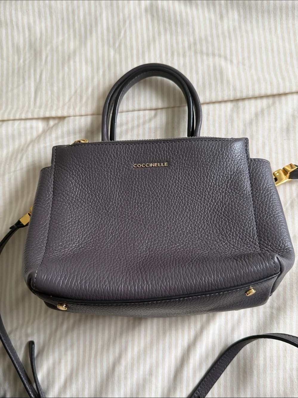 Coccinelle structured pebbled
