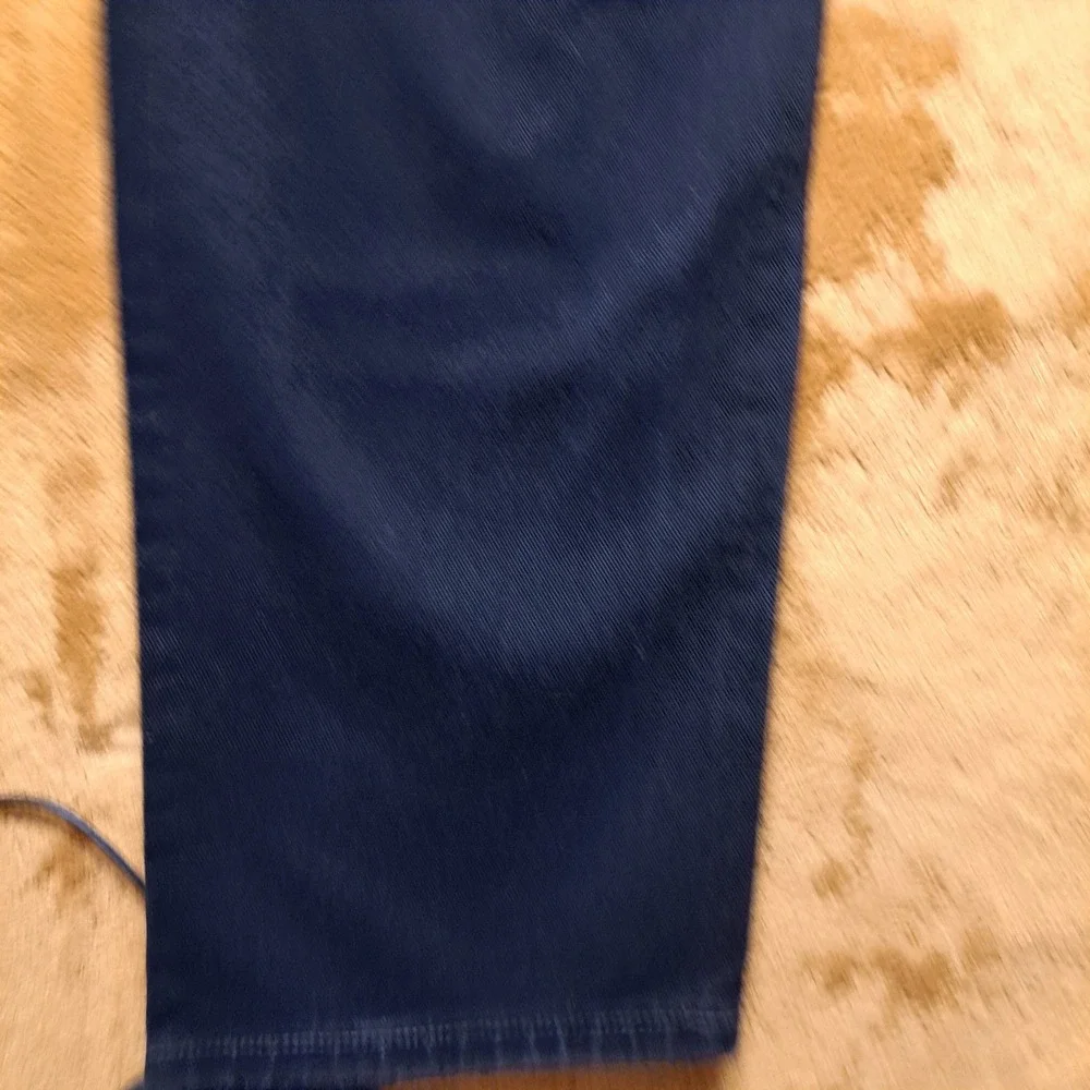 Levis levi 560