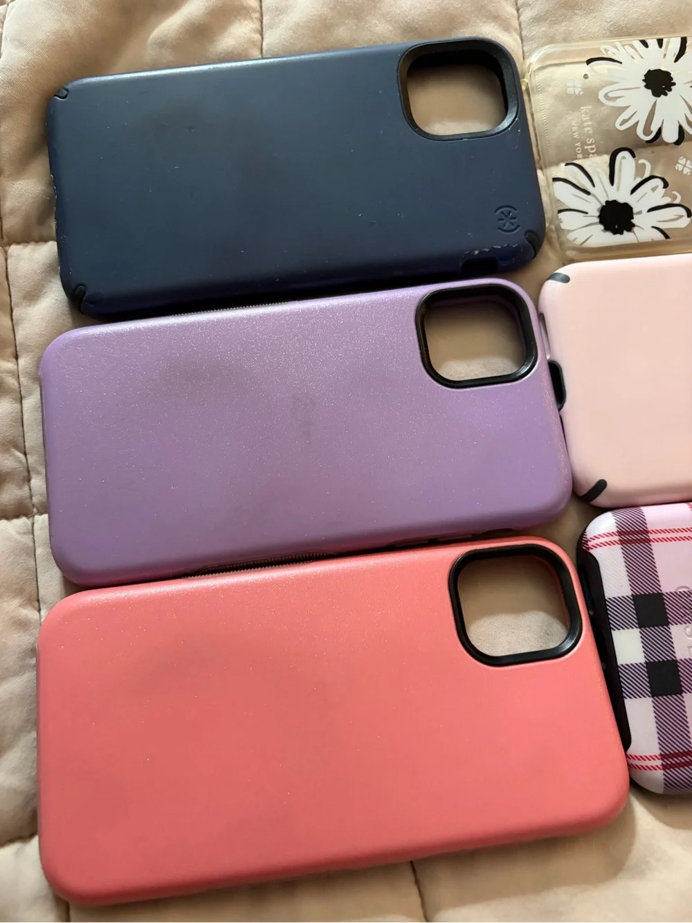 casely lot speck