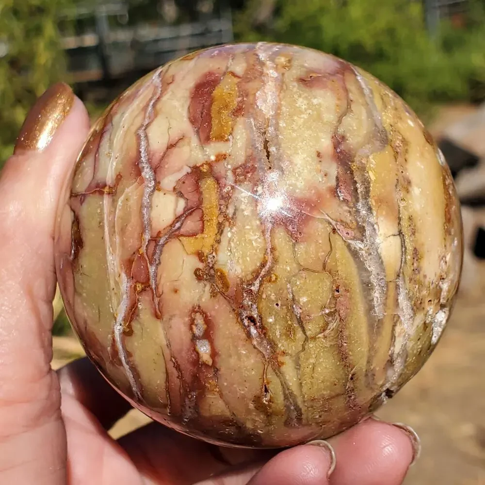 N/A ibis ocean