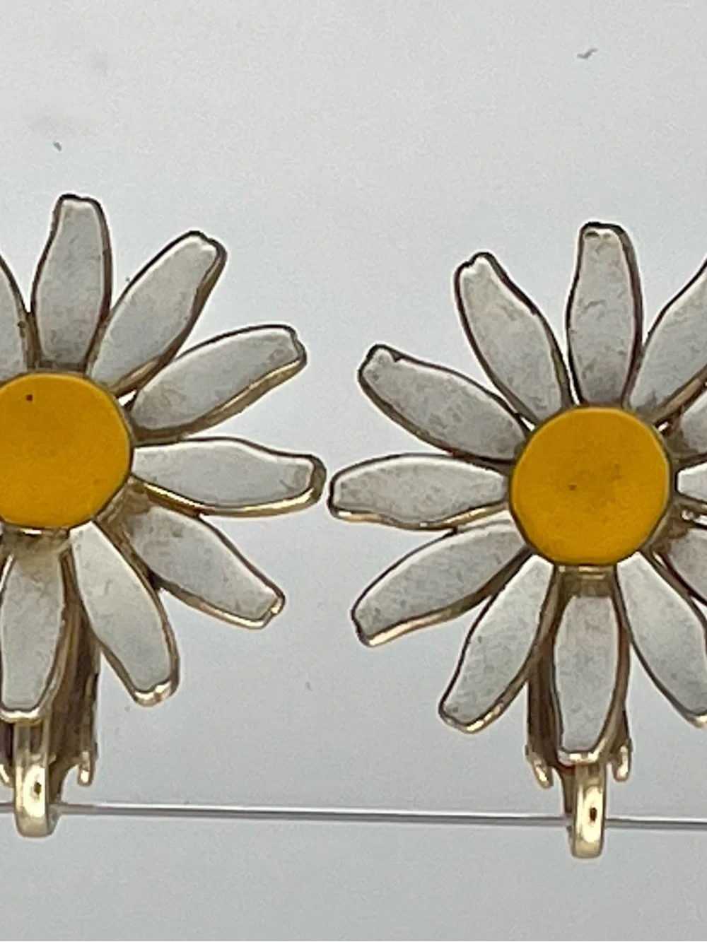 N/A charming daisy