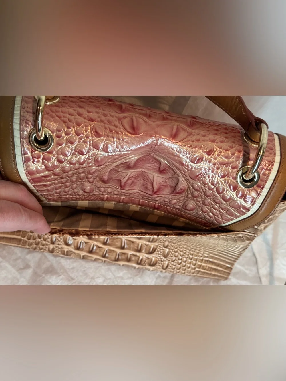 Brahmin elegant croc