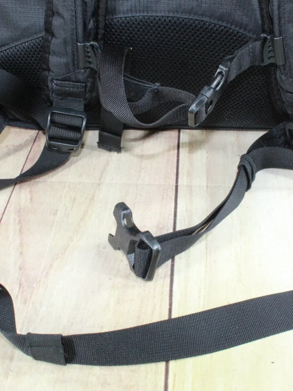 L.L. Bean dragonfly designed life