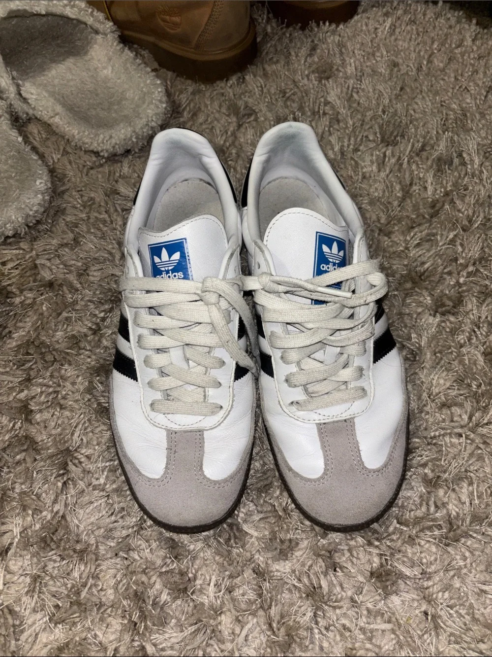 adidas classic samba