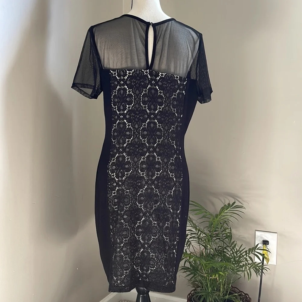 Julienne Weston sheer mesh