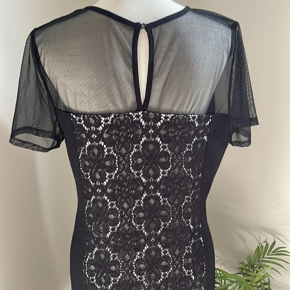 Julienne Weston sheer mesh