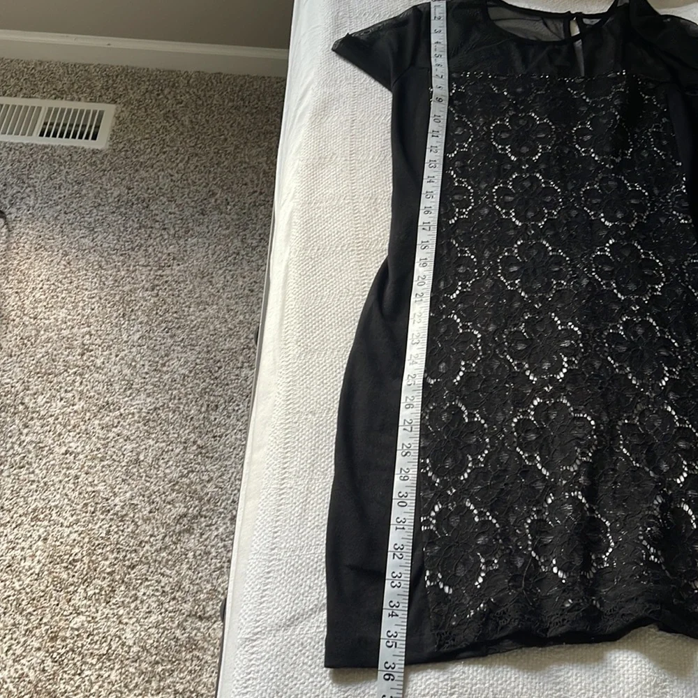 Julienne Weston sheer mesh