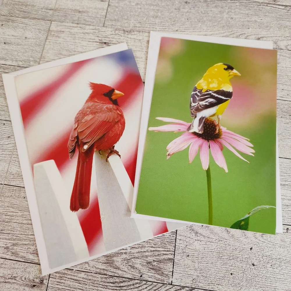 Set of two blank‎ Bird Note Cards Cardinal Goldfinch Blank Inside Stationery