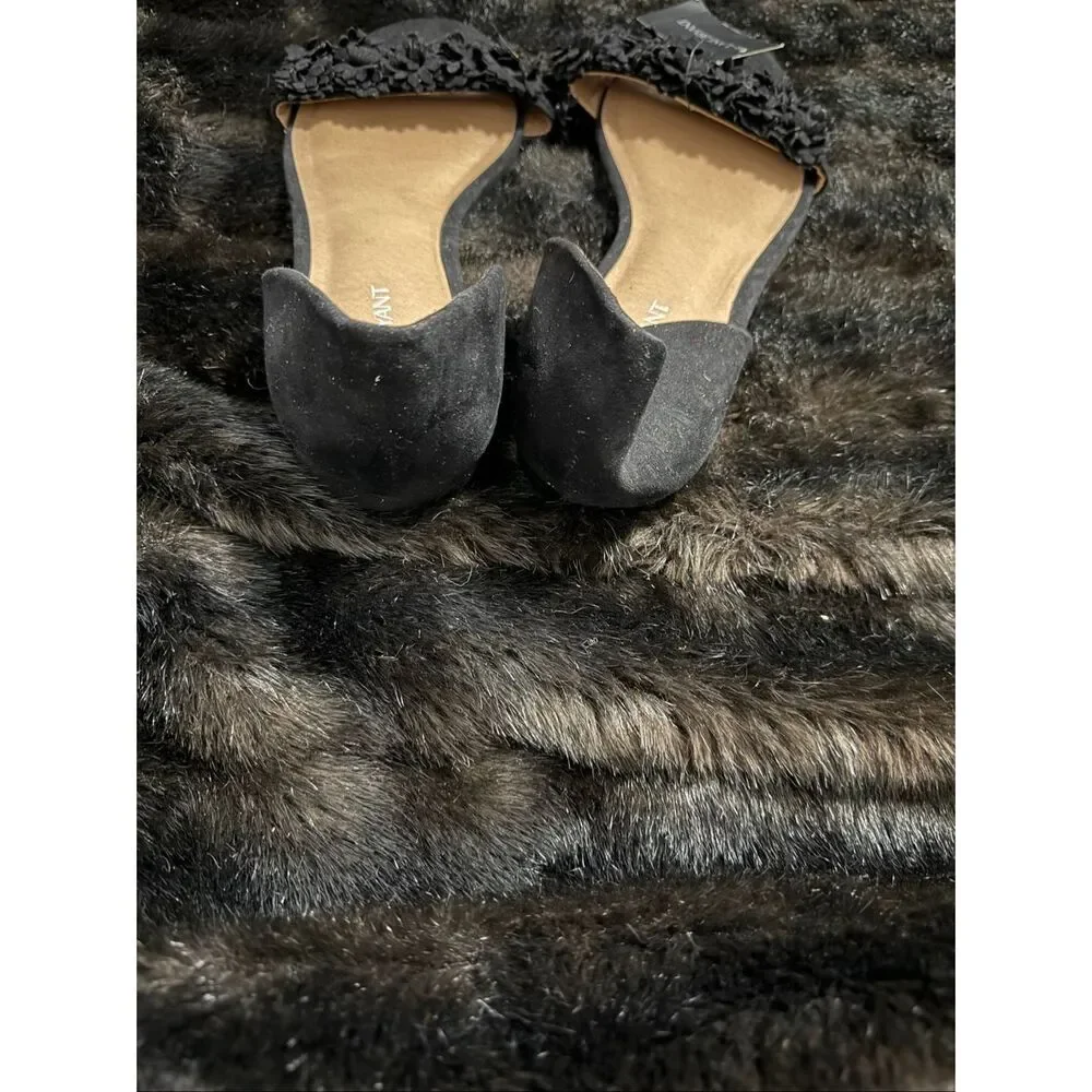 Lane Bryant chic lane