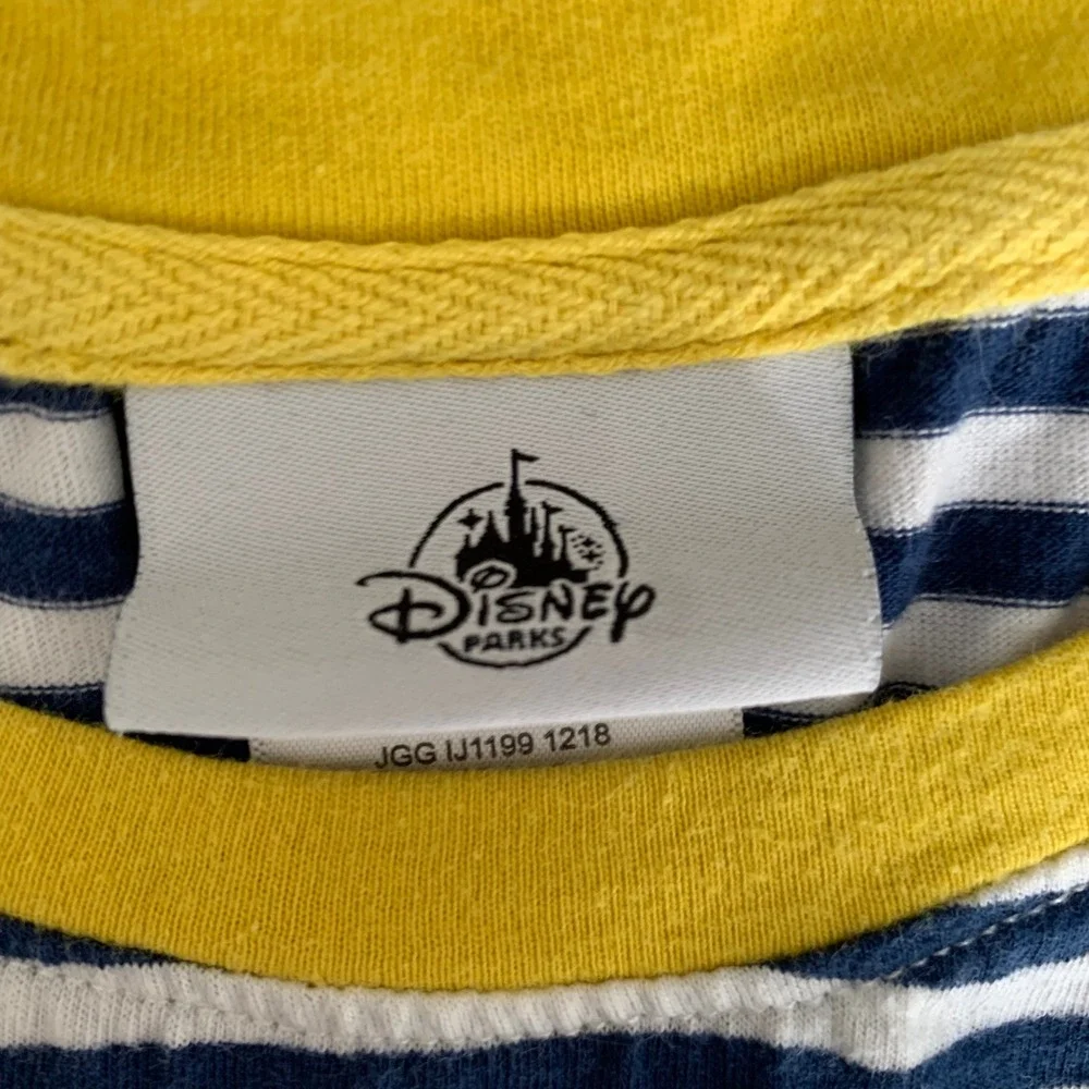 Disney parks striped
