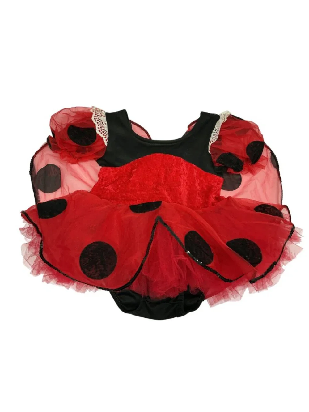 Unknown ladybug toddler