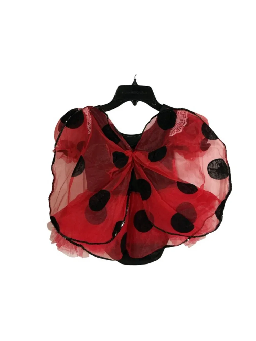 Unknown ladybug toddler