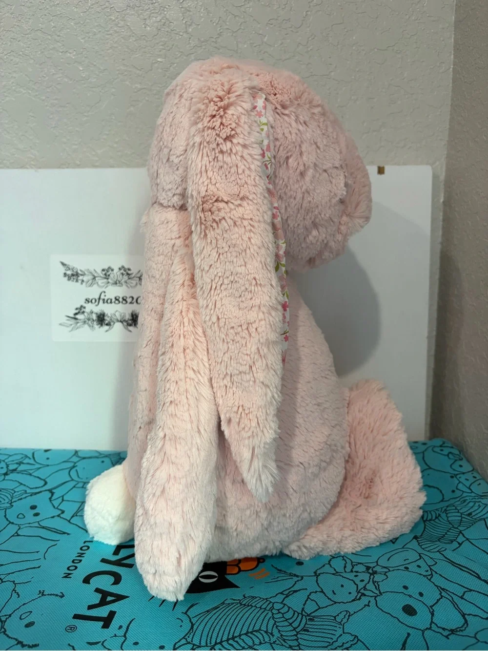 Jellycat pics reused