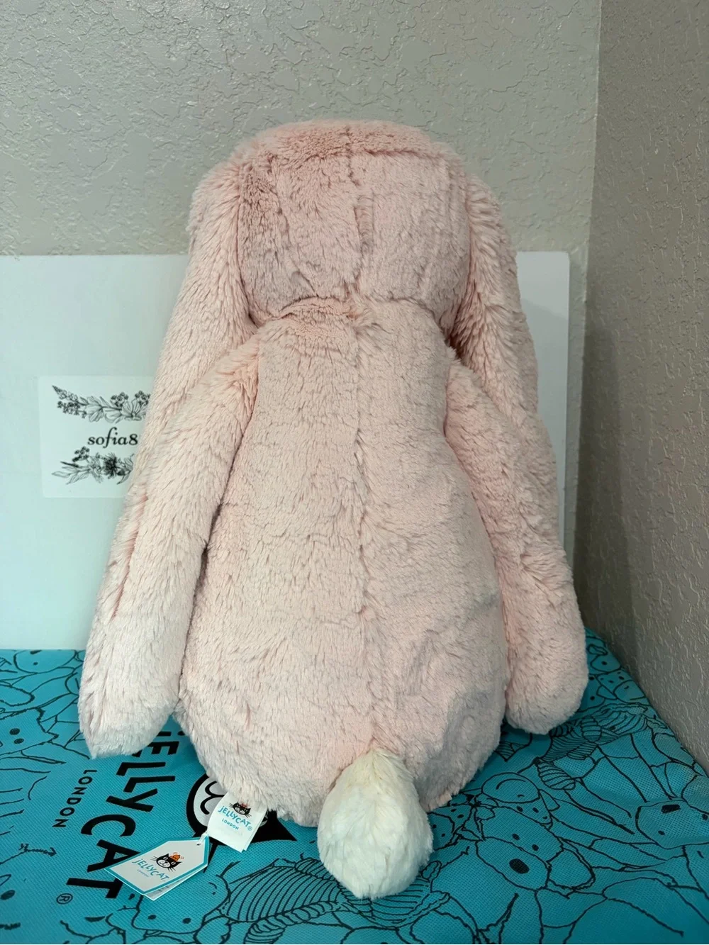 Jellycat pics reused