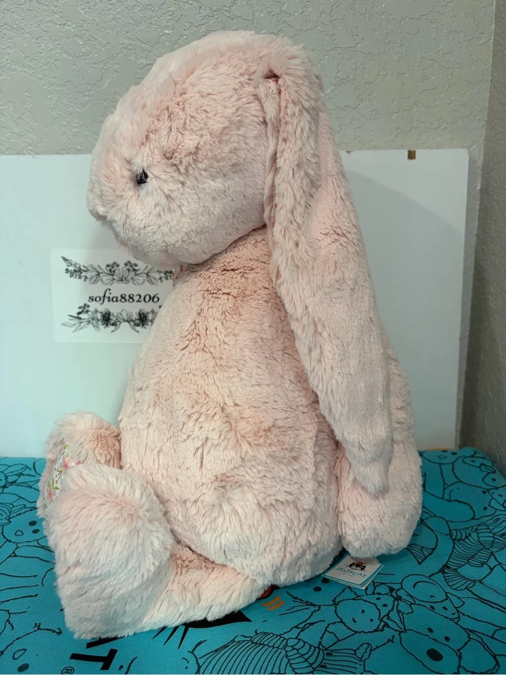 Jellycat pics reused