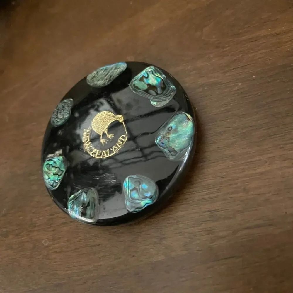 New Zealand resin paperweight Kiwi bird and Paua abalone shell