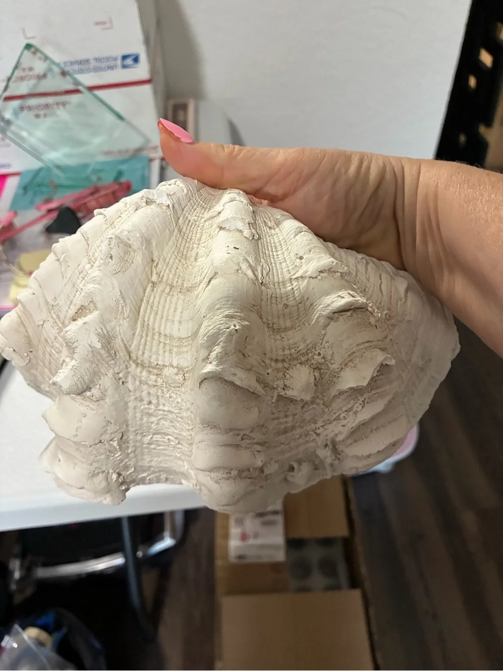 Homegoods elegant white