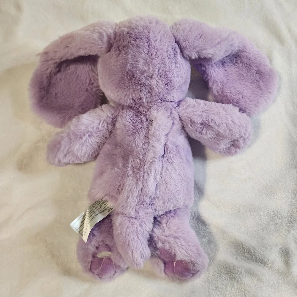 Lavender Life xander dog