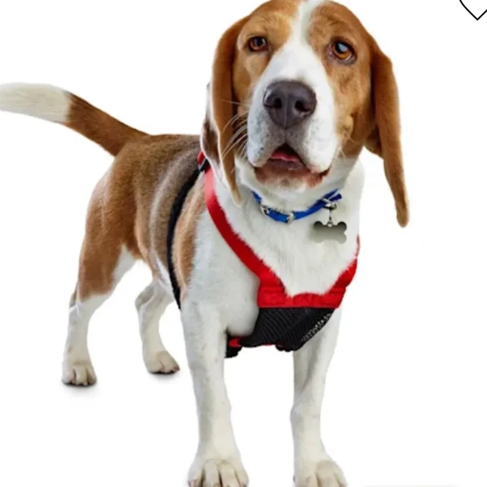 NWT Embrace the pace no pull dog harness L